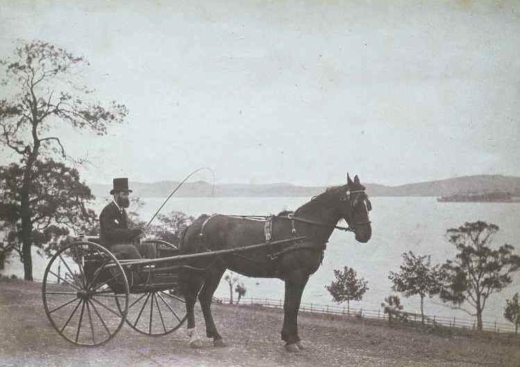 Gerard Bourdillon Tasmanie